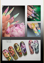 Carica l'immagine nel visualizzatore di Gallery, Percorso accademico Master | Level Up Nails - Christin